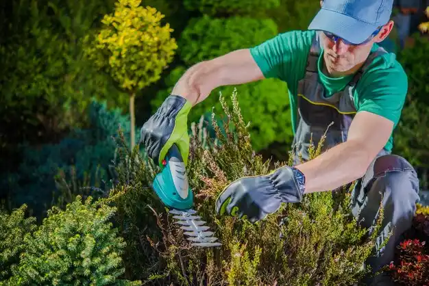 landscaping services Scottville